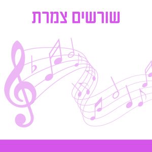 שורשים צמרת